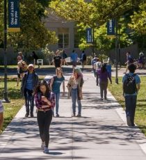 University of California--San Diego