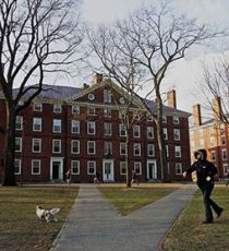 harvard university