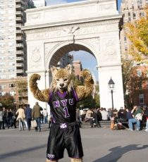 new-york-university