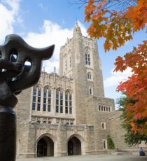 princeton- university