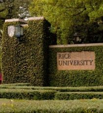 rice-university