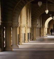 stanford university