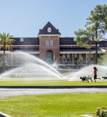 university-of-arizona