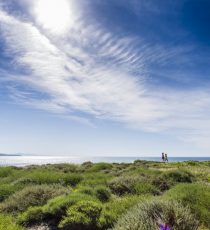 university-of-california--santa-barbara s