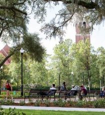 university-of-florida